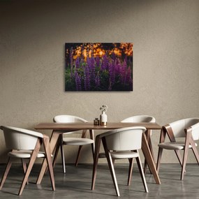 Obraz na szkle kwiatów łubinu (70x50 cm)