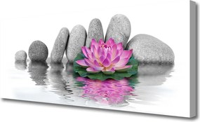 Obraz canvas Balans Natury: Kwiat i Skała