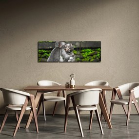 Obraz - małpki (z zegarem) (90x30 cm)