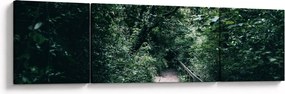 Obraz - Ścieżka przez las (170x50 cm)