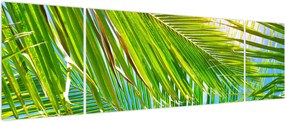 Obraz - Liście palmowe (170x50 cm)