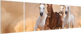 Obraz - Stado koni (170x50 cm)