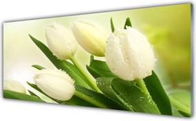 Szkło do Kuchni na Ścianę Wiosenny Bukiet Tulipanów