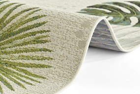 Dywan zewnętrzny Flair Tropical kremowy 80 cm x 165 cm