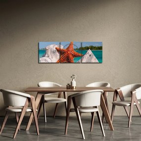 Obraz rozgwiazdy (z zegarem) (90x30 cm)