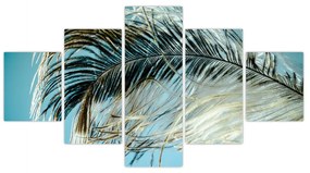 Obraz pióra (125x70 cm)