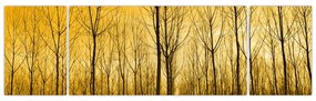 Obraz lasu o zachodzie słońca (170x50 cm)
