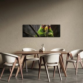 Obraz papugi (z zegarem) (90x30 cm)