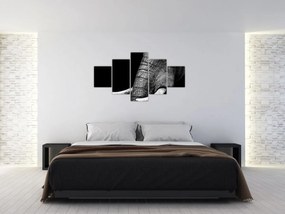 Obraz - Kły słonia (125x70 cm)