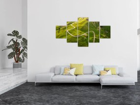 Obraz - Plateau Meadow (125x70 cm)