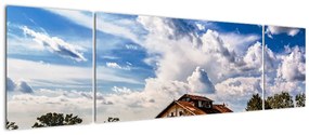 Obraz pola słoneczników (170x50 cm)