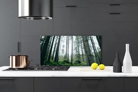 Szkło nad Blatem Promienie Słońca W Lesie