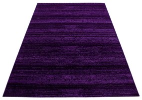 Dywan nowoczesny Plus fioletowy 160 cm x 230 cm