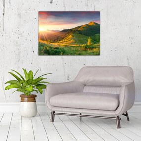 Obraz - Letni krajobraz (70x50 cm)