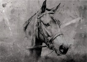 Obraz - Portret konia (70x50 cm)
