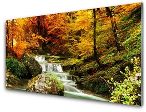 Obraz na Szkle Wodospad Las Nature
