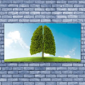 Duży obraz na płótnie Zielone Płuca Natury