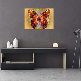Obraz na szkle - Etno motyl (70x50 cm)