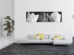 Obraz - Czarno - białe kwiaty tulipanów (170x50 cm)