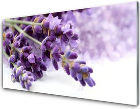 Panel Szklany Ogród Botaniczny w Pełni