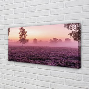 Obraz drukowany na płótnie Pole Wrzosów