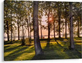 Obraz drzew nad jeziorem (70x50 cm)