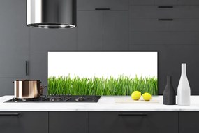 Panel Kuchenny Soczysta Zielona Trawa