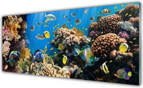 Szkło Ozdobne do Kuchni Barwne Życie Rafy Koralowej