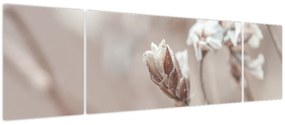Obraz - Szczegół gałęzi (170x50 cm)