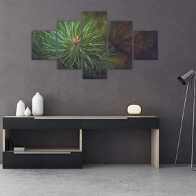 Obraz - Detal sosny (125x70 cm)