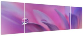 Obraz - Kropla na kwiecie (170x50 cm)