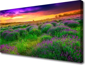 Obraz na płótnie Bezkres Zielonej Łąki