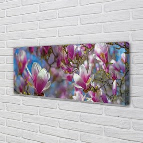 Fotoobraz na płótnie Drzewa Magnolii