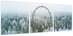 Obraz - Ośnieżone szczyty lasów (z zegarem) (90x30 cm)