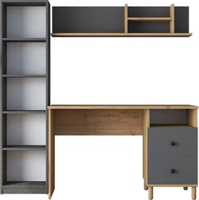 Biurko Hapem Walnut and Anthracite