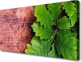 Zdjęcie na płótnie Szlachetne Liście Dębu