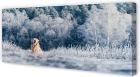 Obraz na płótnie Pies w Górach Zimą
