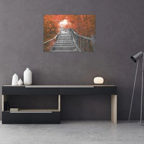 Obraz na szkle - Schody w naturze, pomarańczowy (70x50 cm)