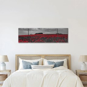 Obraz maków (170x50 cm)