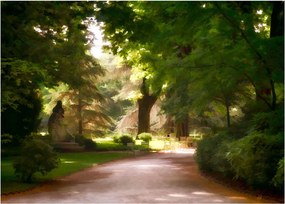 Obraz na szkle - park (70x50 cm)