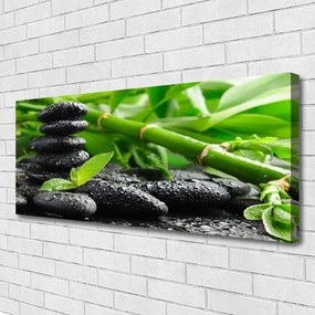 Fotoobraz na płótnie Zielona Świeżość Bambusa