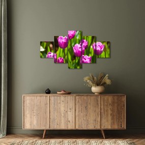 Obraz tulipanów na łące (125x70 cm)