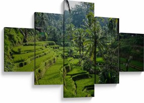 Obraz tarasów ryżowych Tegalalang, Bali (125x70 cm)
