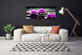 Obraz drukowany na płótnie Egzotyczny Kwiat Orchidei