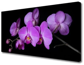 Obraz Canvas Storczyk Orchidea Kwiaty