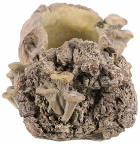 Opakowanie betonowe - skrzynka, drewno z grzybami,49 x 21 x 15 cm