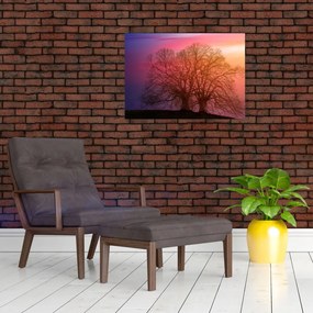 Obraz na szkle - drzewa we mgle (70x50 cm)