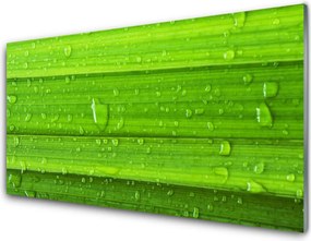 Szkło do Kuchni na Ścianę Soczysta Zieleń Polany