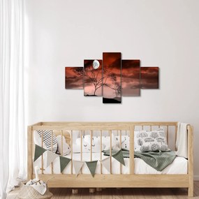 Obraz - Księżyc oświetlający noc (125x70 cm)