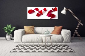 Obraz canvas Makro Płatków Kwiatowych